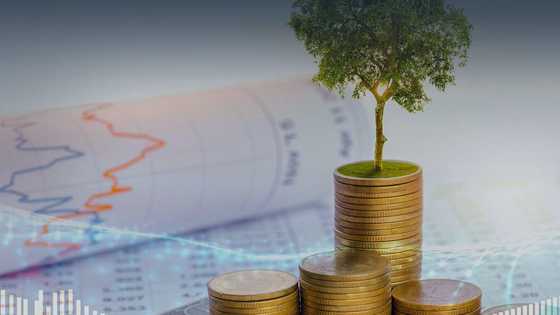 组织架构咨询，报价明细如何解读？**